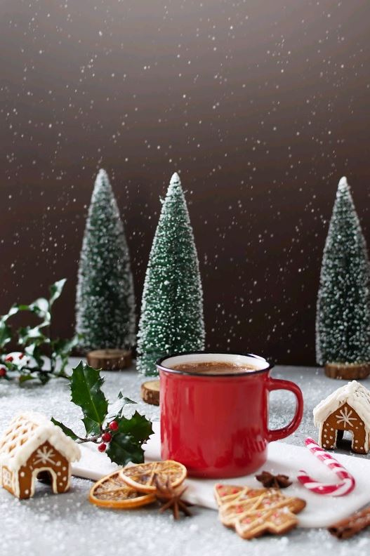 Gourmet du Village Gingerbread  Hot Chocolate GCHOMGB